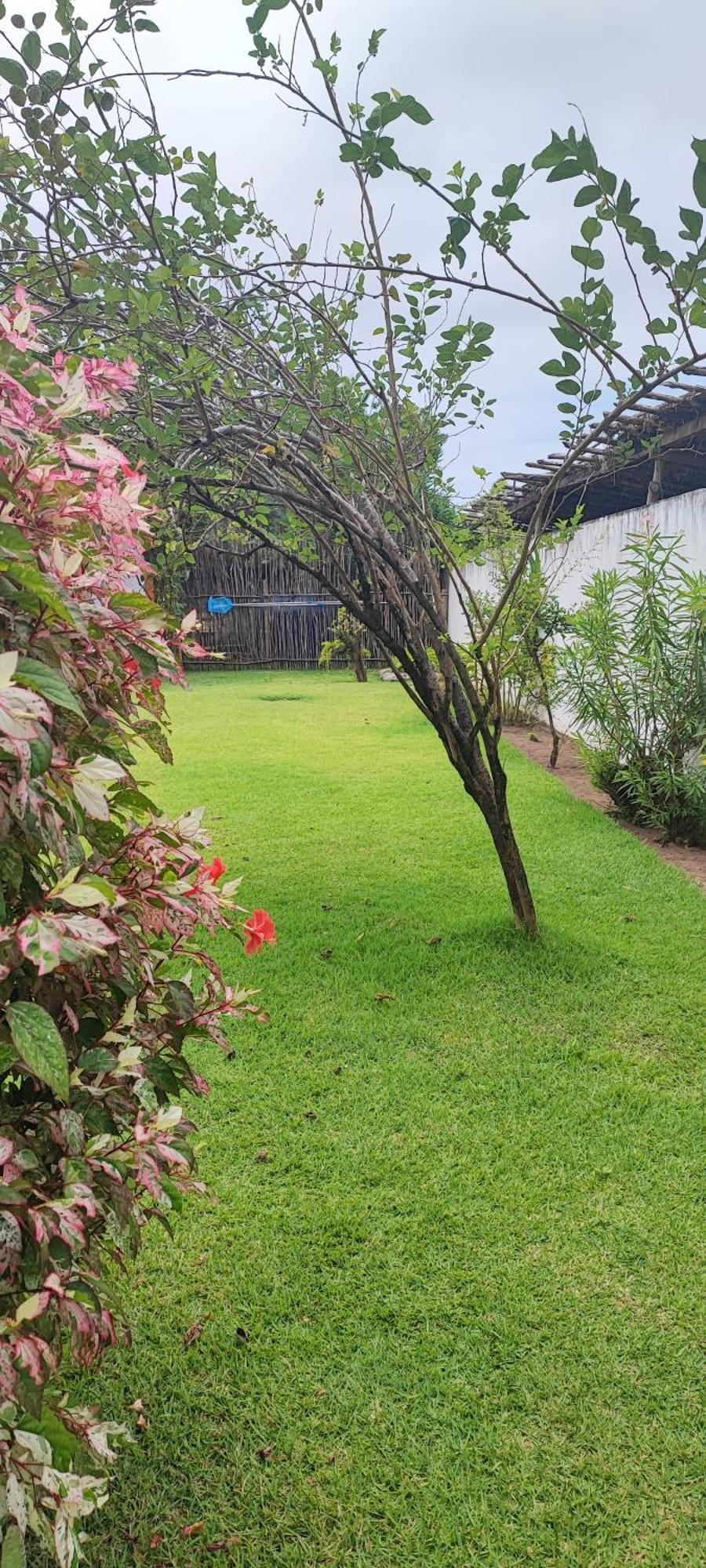 Pôrto de Pedras Pousada Sunshine Patacho Rota Ecologica Dos Milagres מראה חיצוני תמונה