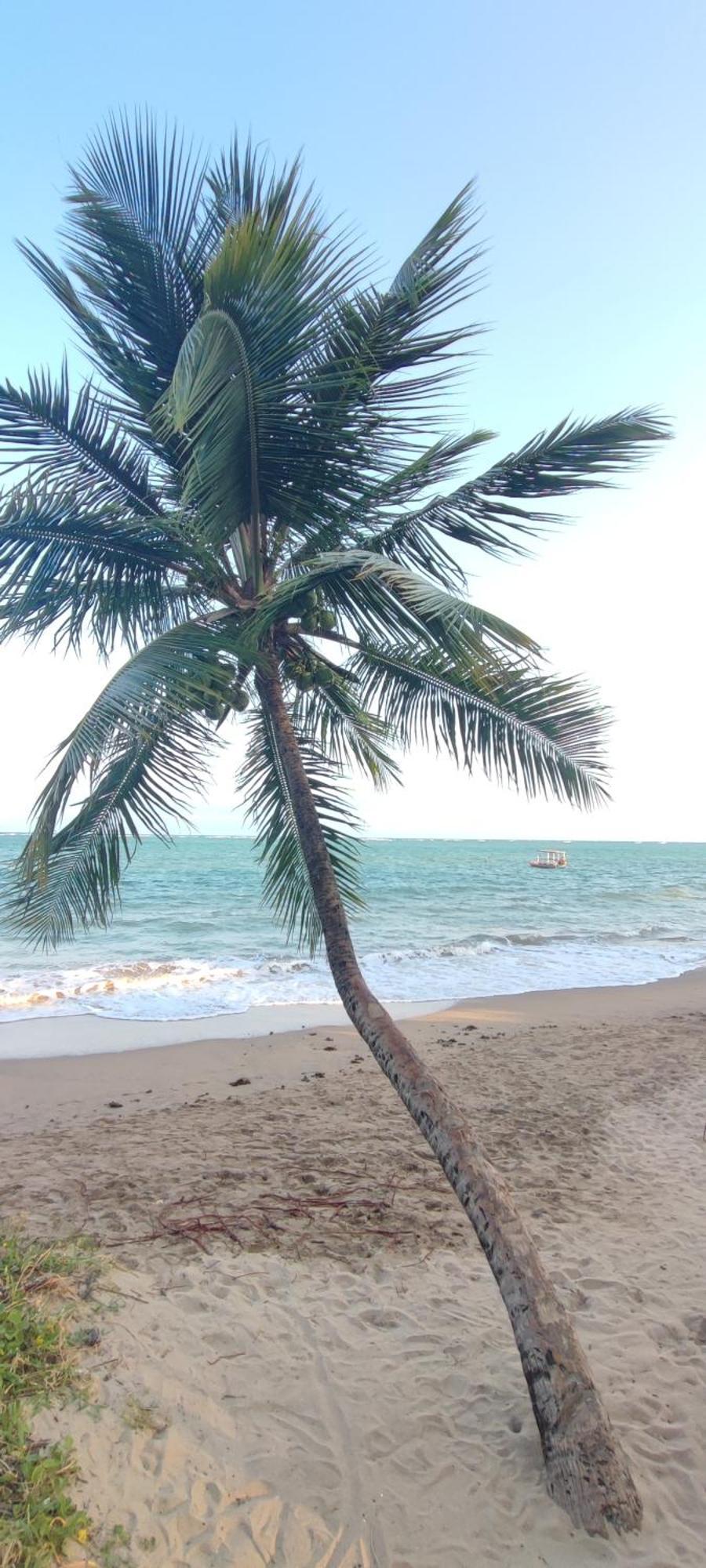 Pôrto de Pedras Pousada Sunshine Patacho Rota Ecologica Dos Milagres מראה חיצוני תמונה